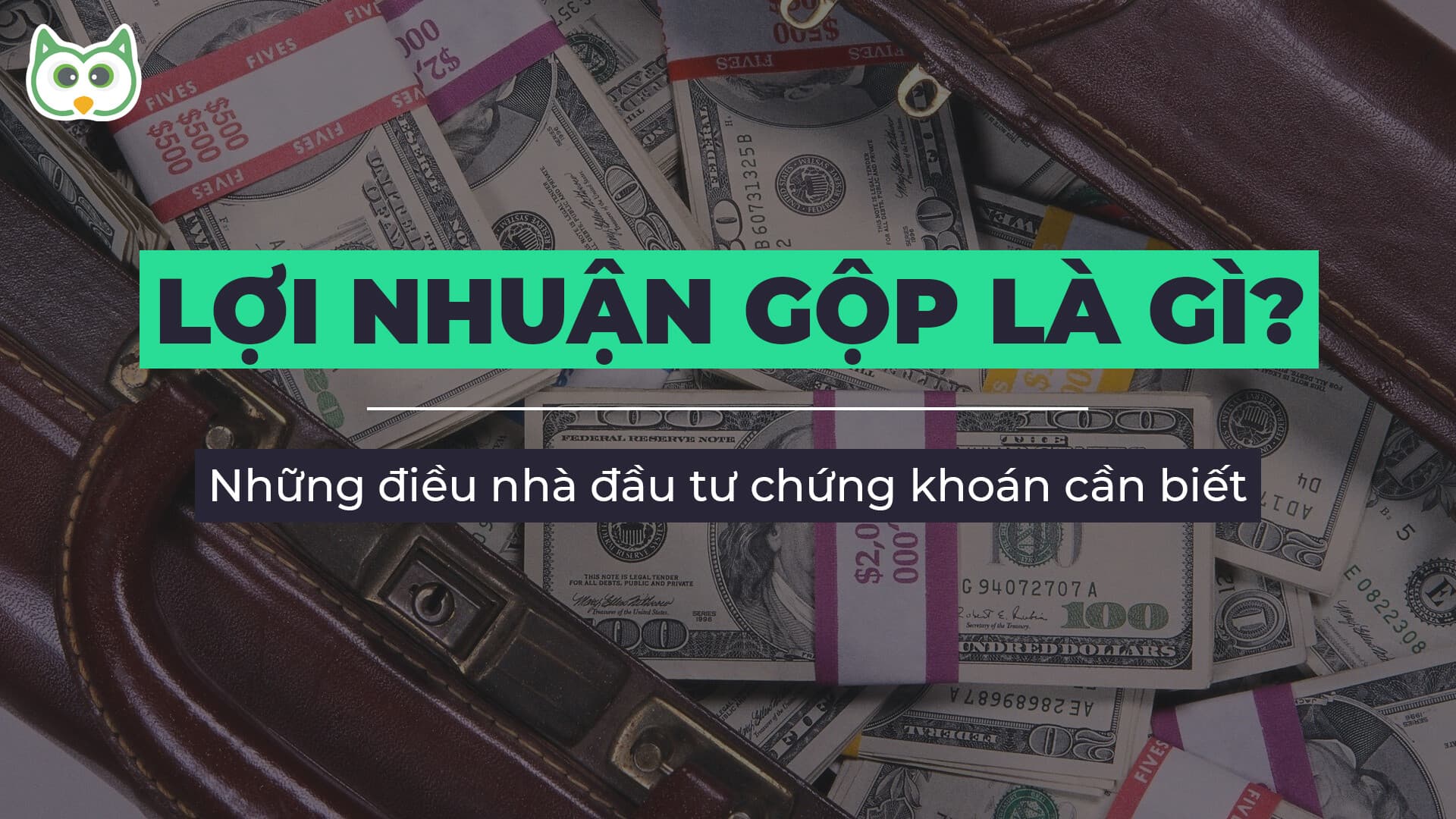 anh-dai-dien-loi-nhuan-gop