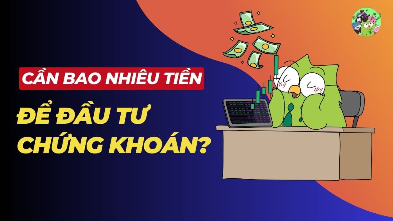 Đầu tư chứng khoán cần bao nhiêu tiền mới được