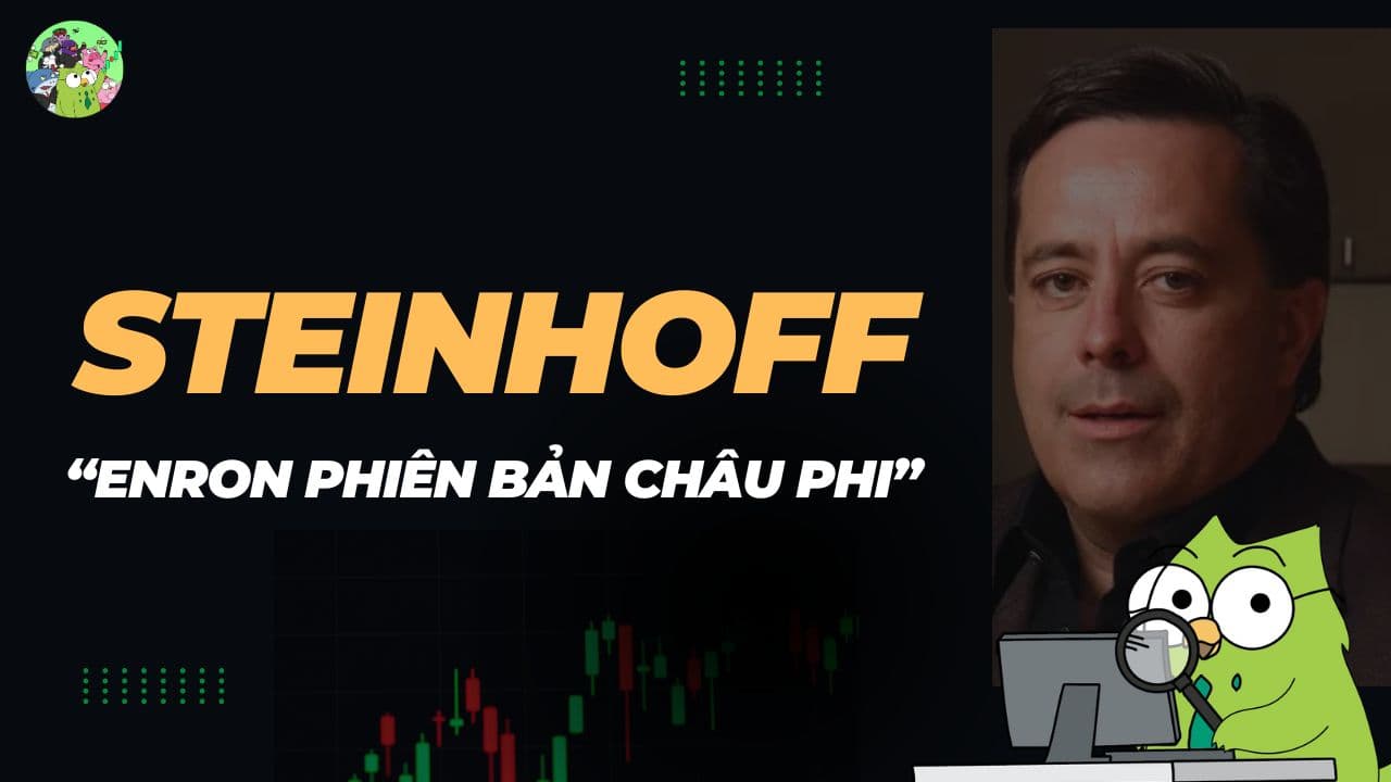 Các kỹ thuật gian lận tài chính của Steinhoff