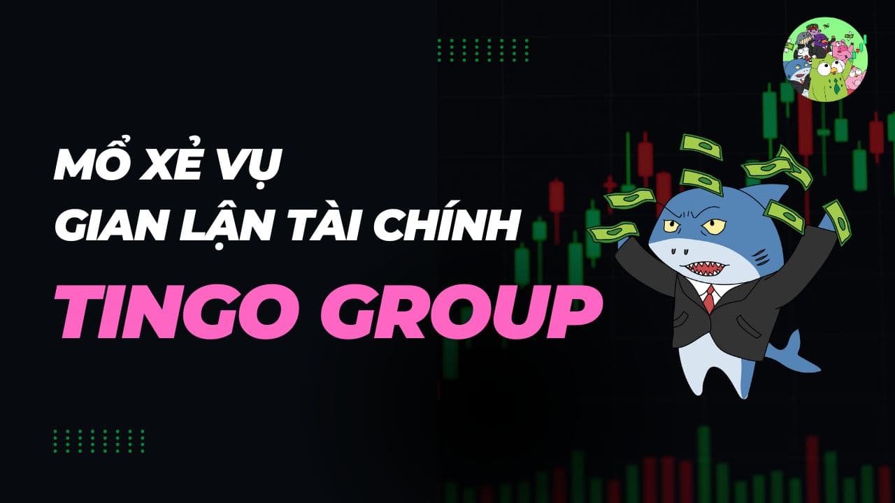 Phân tích vụ Tingo Group bị cáo buộc gian lận tài chính