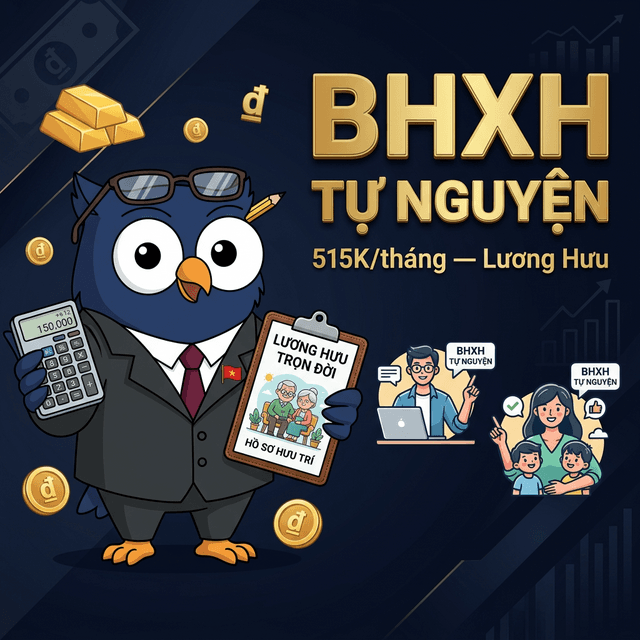 BHXH Tự Nguyện — Cú Kiểm Toán